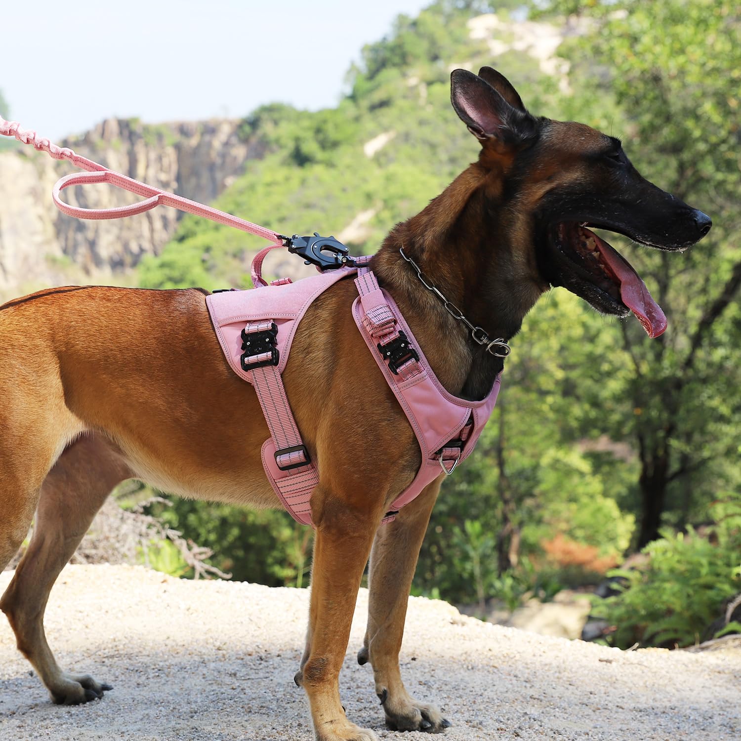 ICEFANG GN8 Tactical Dog Harness for Large Sized Dogs,Full Metal Leash