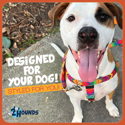 2 Hounds Design Freedom No Pull Dog Harness, Comfortable Harness