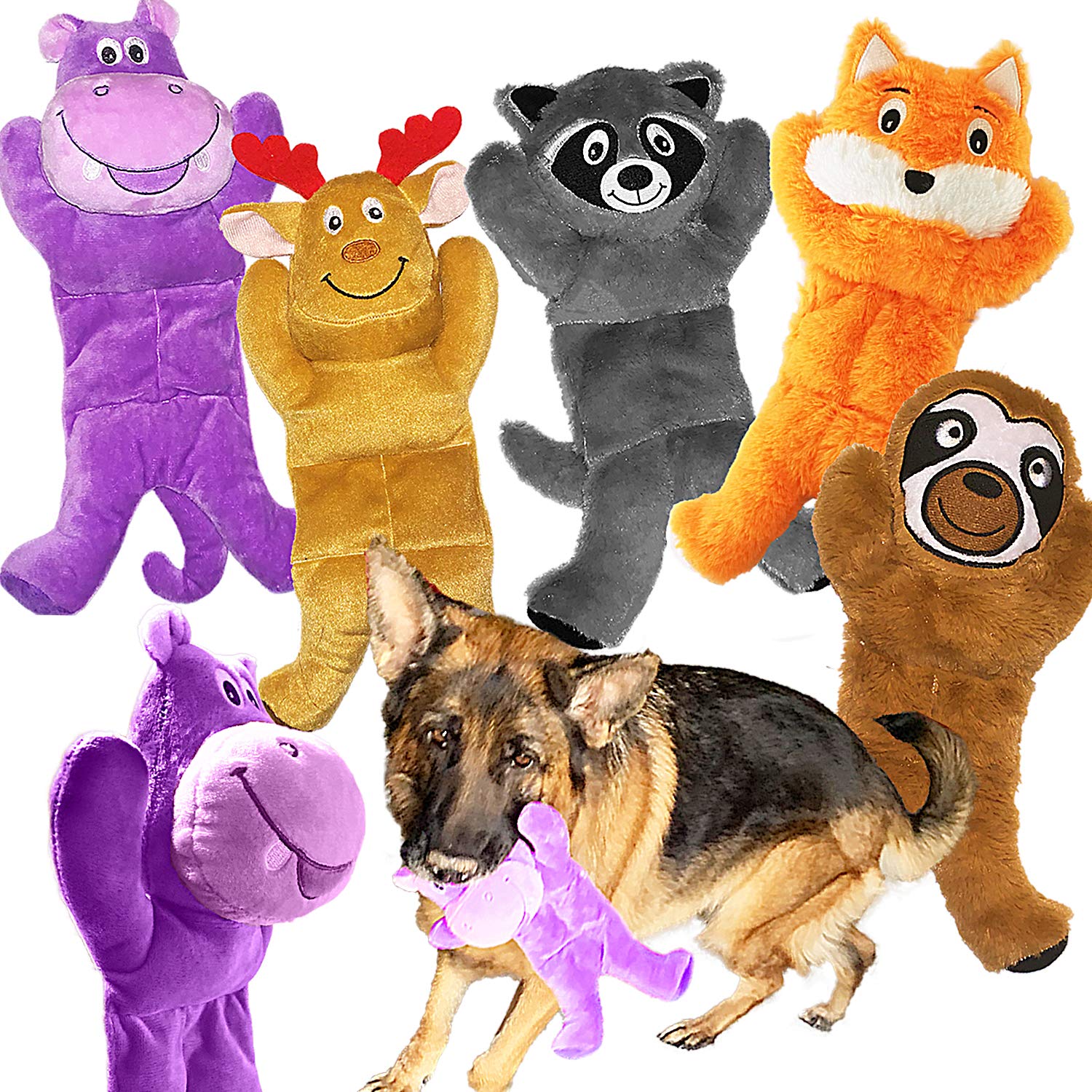 Jalousie 5 Pack 12'' Dog Toys Assortment Plush Squeaky Toys