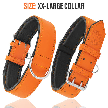 Riparo Dog Collar, Leather Dog Collar with Dog Tag Holder, Collar
