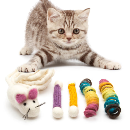 Glaciart One Indoor Catnip Cat Toy Pack 5pc, Kitty Toys Include Catnip