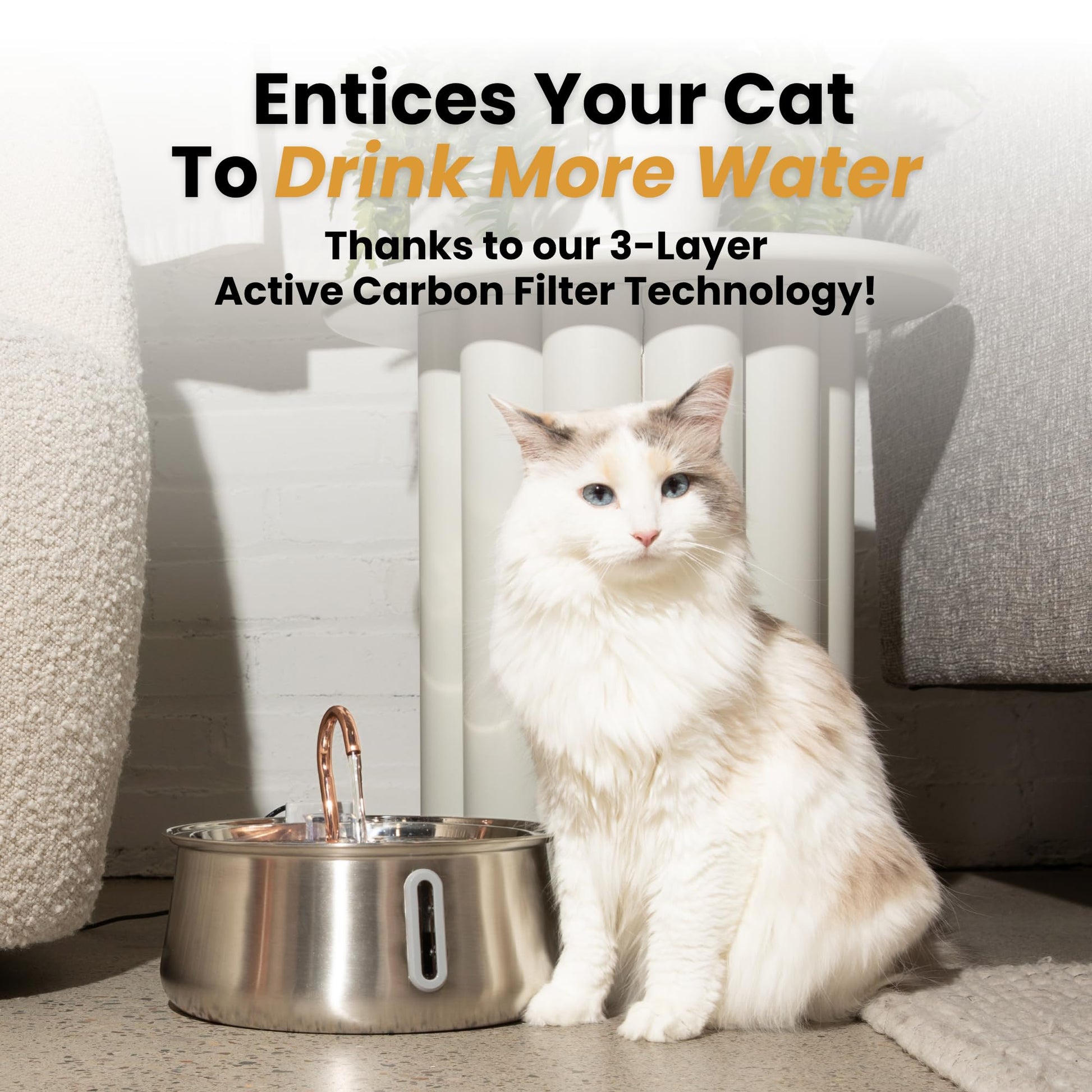 KittySpout Stainless Steel Cat Water Fountain Automatic Drinking Bowl