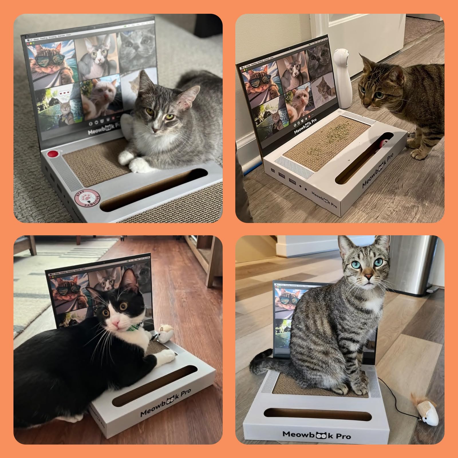AIWEILUCK 2PCS Cat Scratcher Laptop with 'Mouse' Jingle Ball Pad
