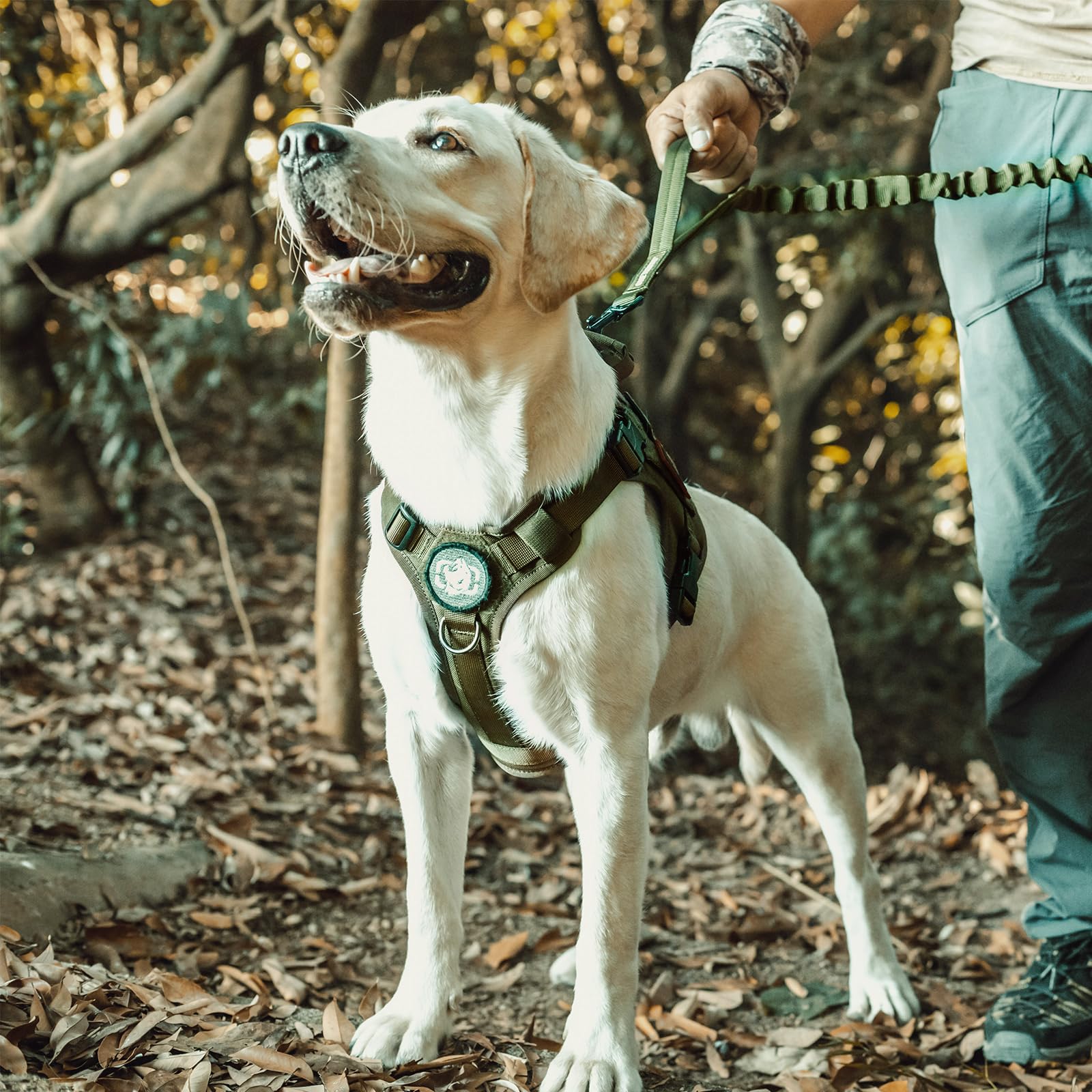 OneTigris Dog Harness, Tactical Dog Harness No-Pull Breathable Harness