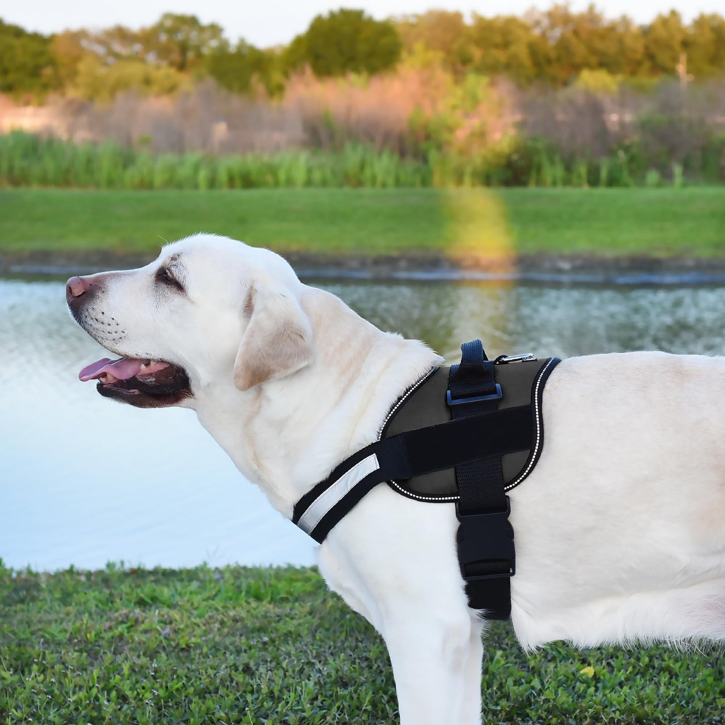 Dogline Dog Harness, Reflective No-Pull Adjustable Vest with Harness
