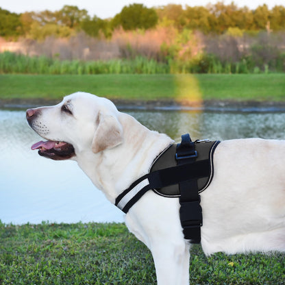 Dogline Dog Harness, Reflective No-Pull Adjustable Vest with Harness