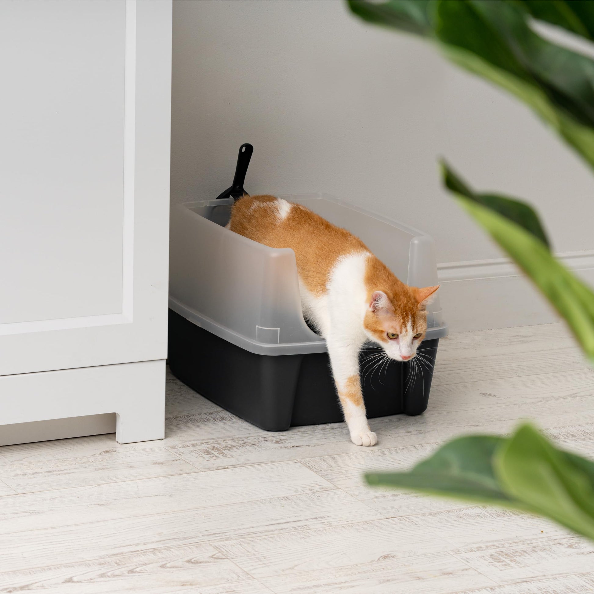 IRIS USA Cat Litter Box Large Open Top with High Sided Walls Tall Box