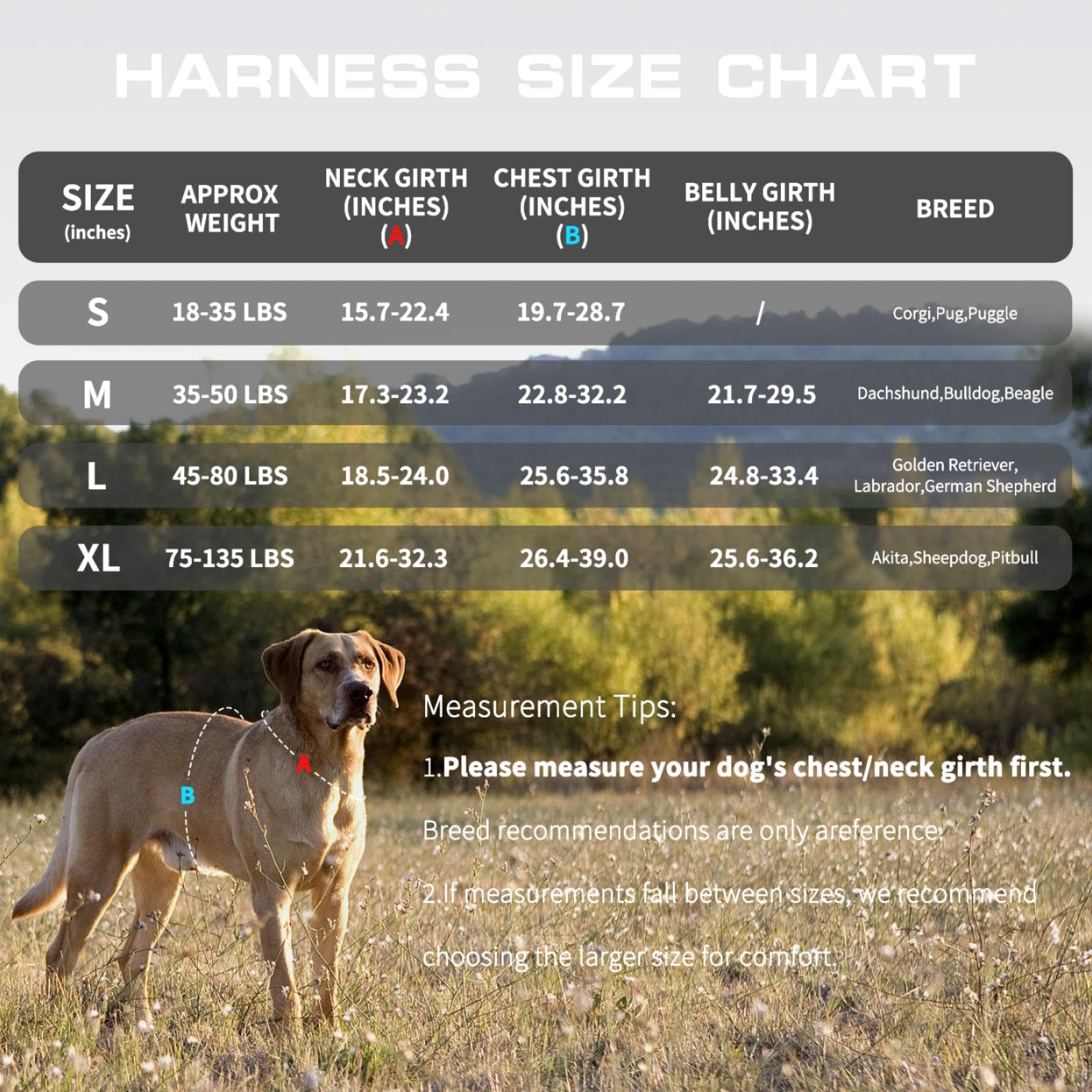 Small Dog Harness, Heavy Duty Tactical No Pull Dog Harness, No Harness