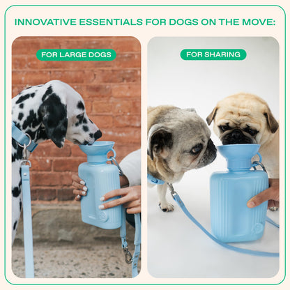 Springer Dog Water Bottle, Large Capacity Drinking Feeder Dispenser