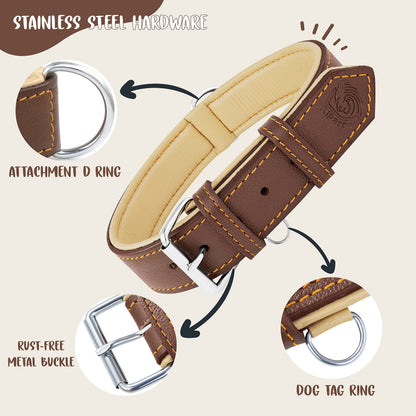 Riparo Adjustable Leather Dog Collar Heavy Duty Wide Dog Collar