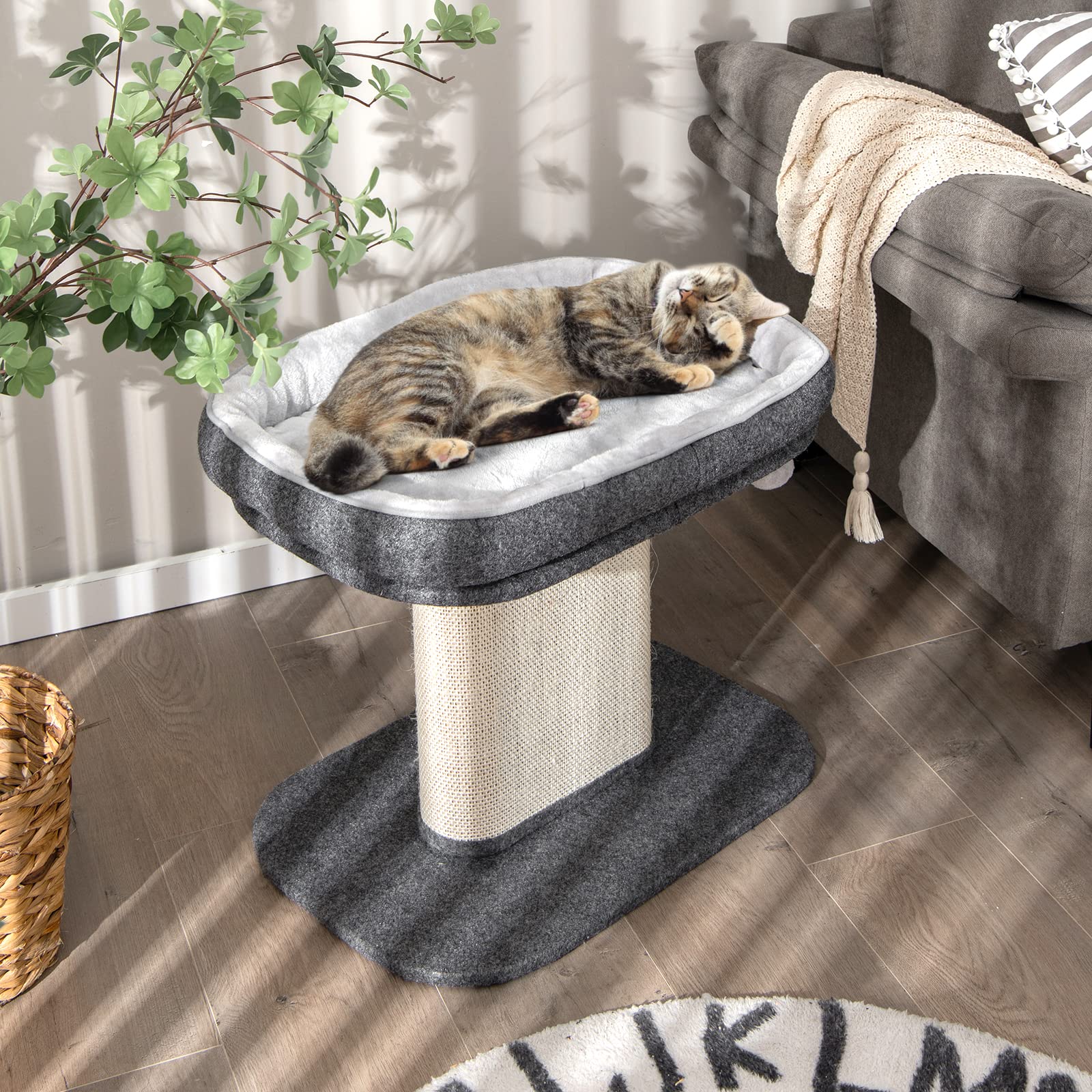 Tangkula Cat Tree for Indoor Cats, 2-Tier Cat Tower with Top Ball
