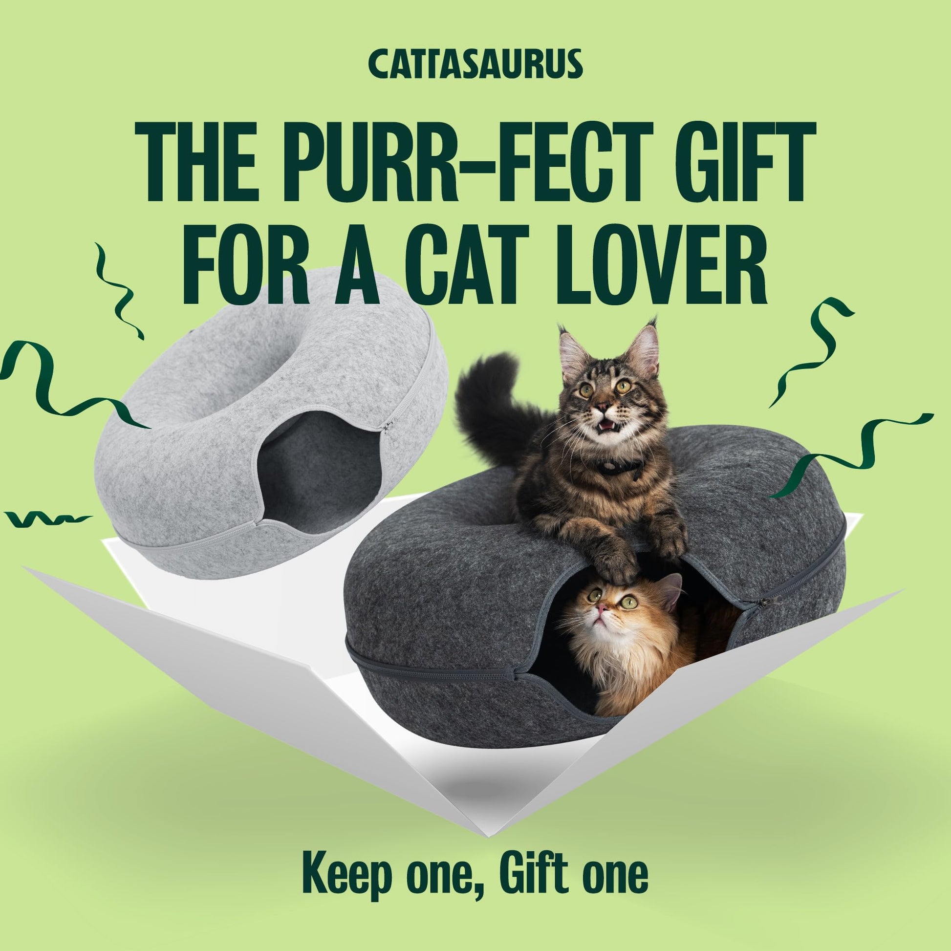 Cattasaurus Peekaboo Cat Cave Duo Jumbo Set, Extra Spacious Cat Bed