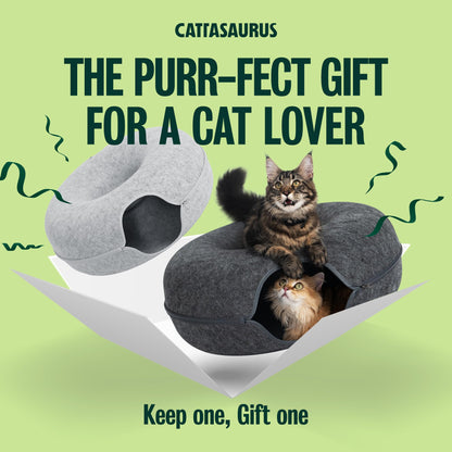Cattasaurus Peekaboo Cat Cave Duo Jumbo Set, Extra Spacious Cat Bed