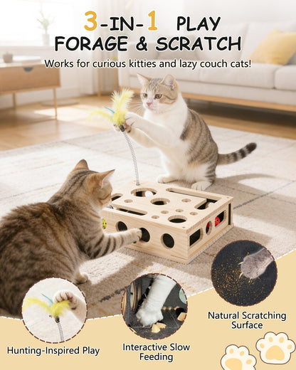 Cat Toys for Indoor Cats Interactive Box Puzzle Toy Nail Scratcher