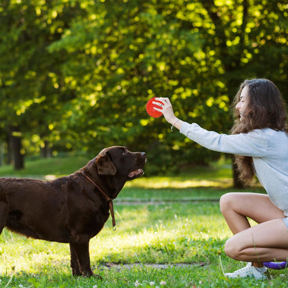 Ousiya 3.5” Squeaky Dog Toy Balls (6 Colors) Dog Toys Spikey Dogs Ball