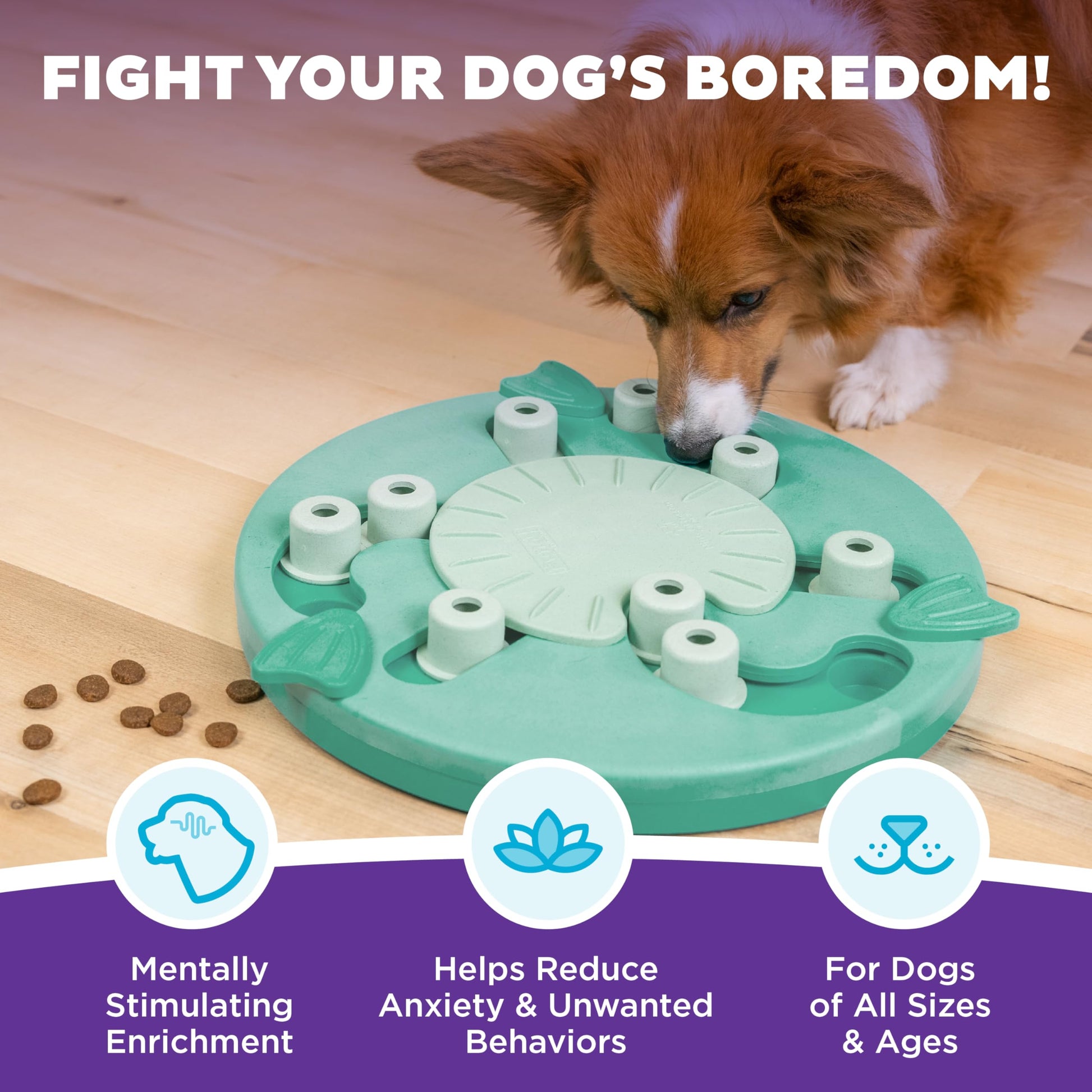 Outward Hound by Nina Ottosson Dog Worker Treat Puzzle Enrichment Toy