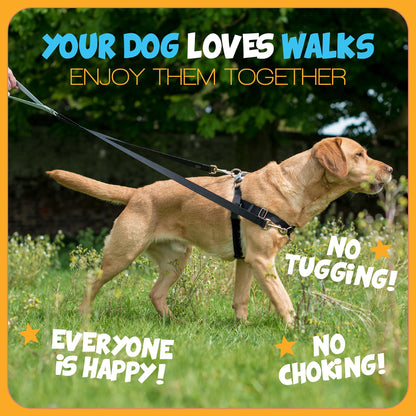 2 Hounds Design Freedom No Pull Dog Harness, Comfortable Harness