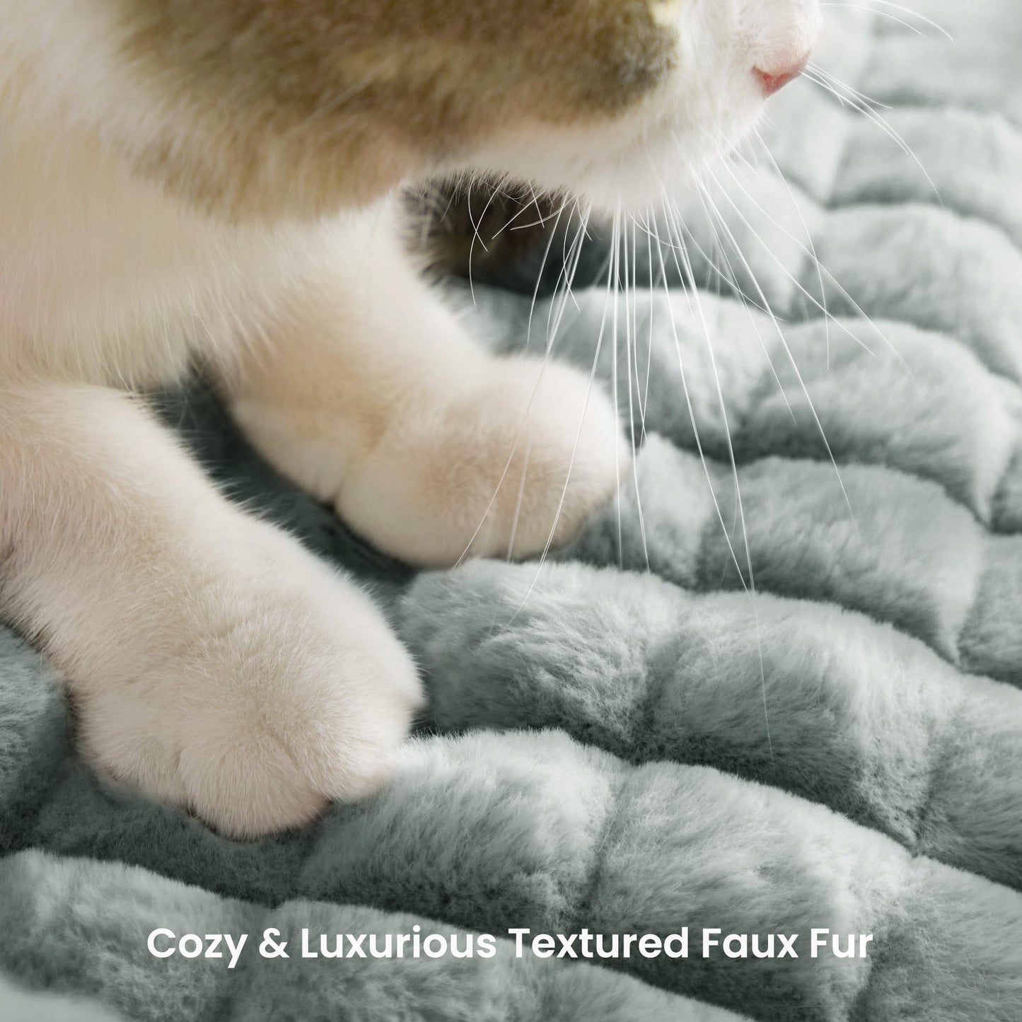 blunique Cute Cat Couch Bed Supportive Fluffy Pet Sofa with Faux Bed