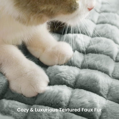 blunique Cute Cat Couch Bed Supportive Fluffy Pet Sofa with Faux Bed
