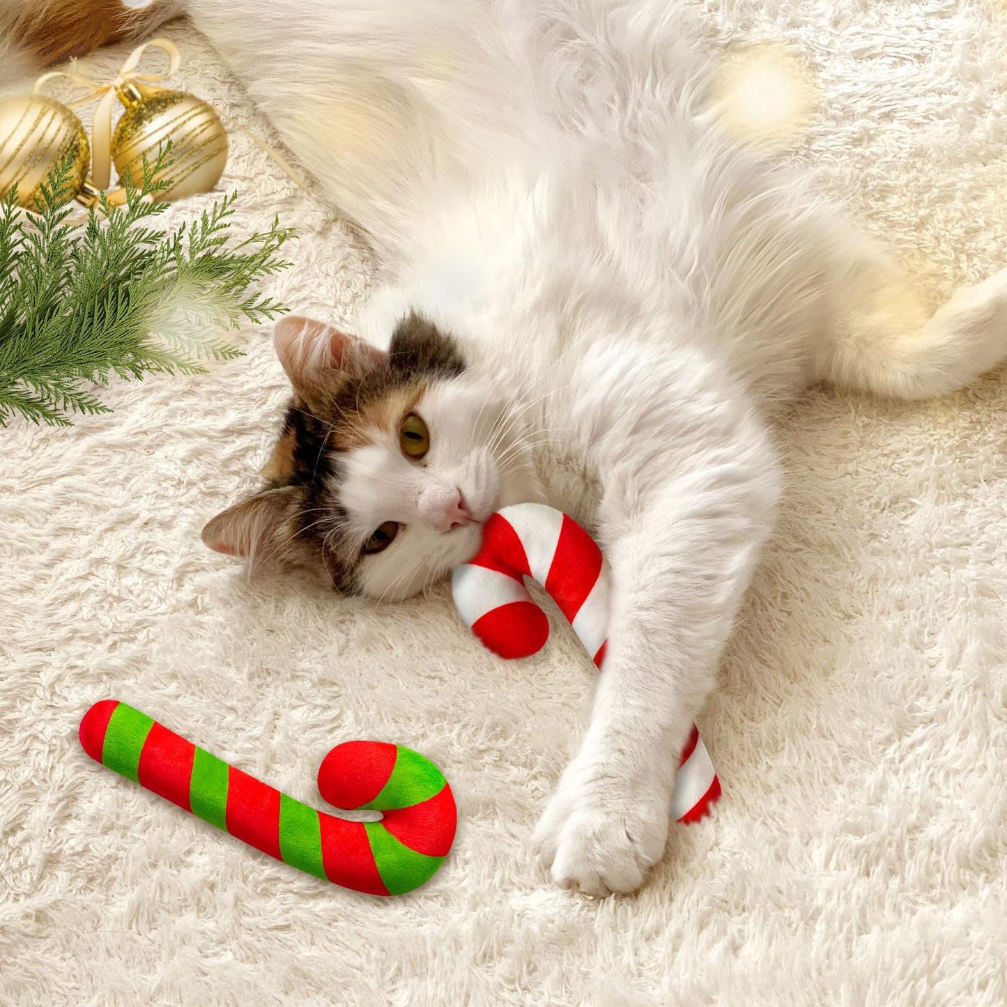 MALLMALL6 2Pcs Christmas Candy Cane Catnip Toys Gift for Cat, Catnip