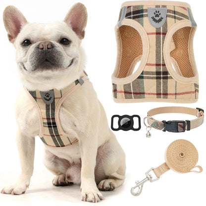 EXPAWLORER Plaid Small Dog Harness and Leash Set with AirTag Collar