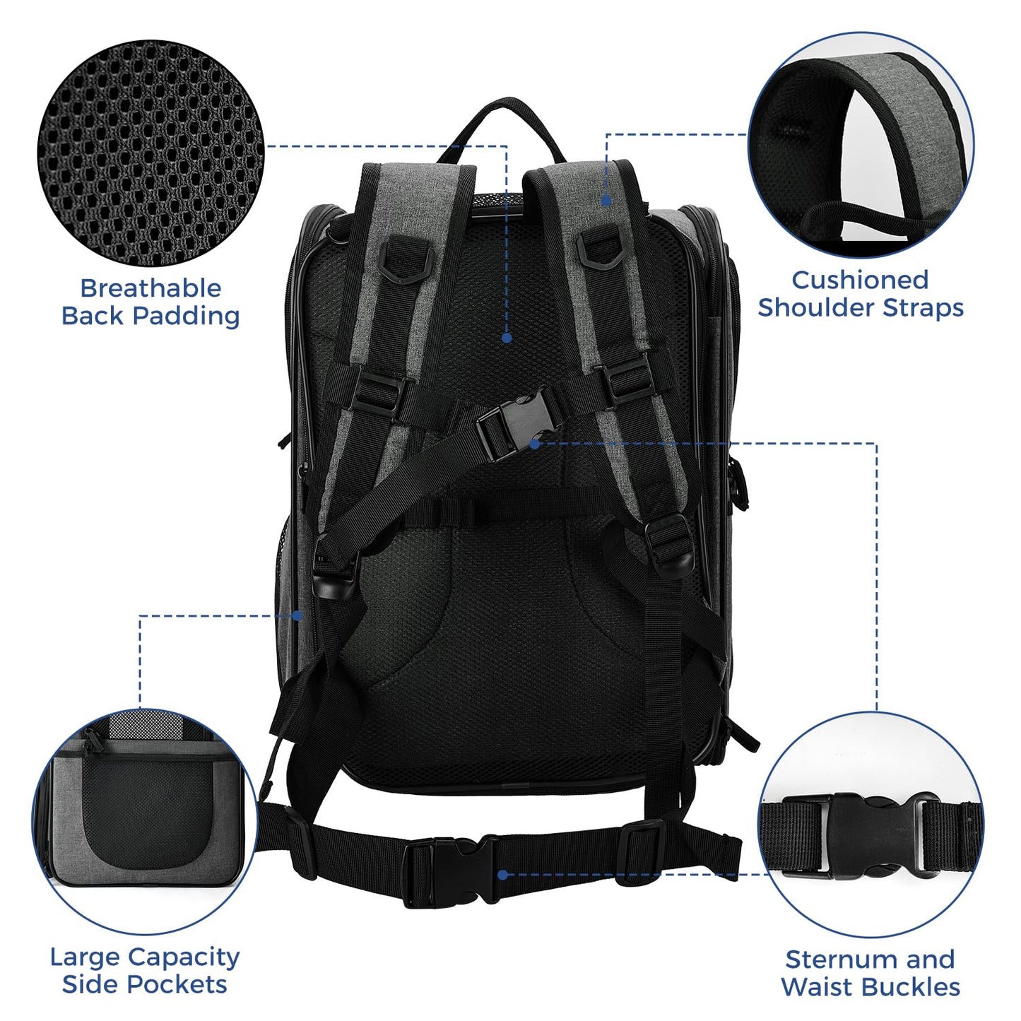 Apollo Walker Pet Carrier Backpack for Large/Small Carrier