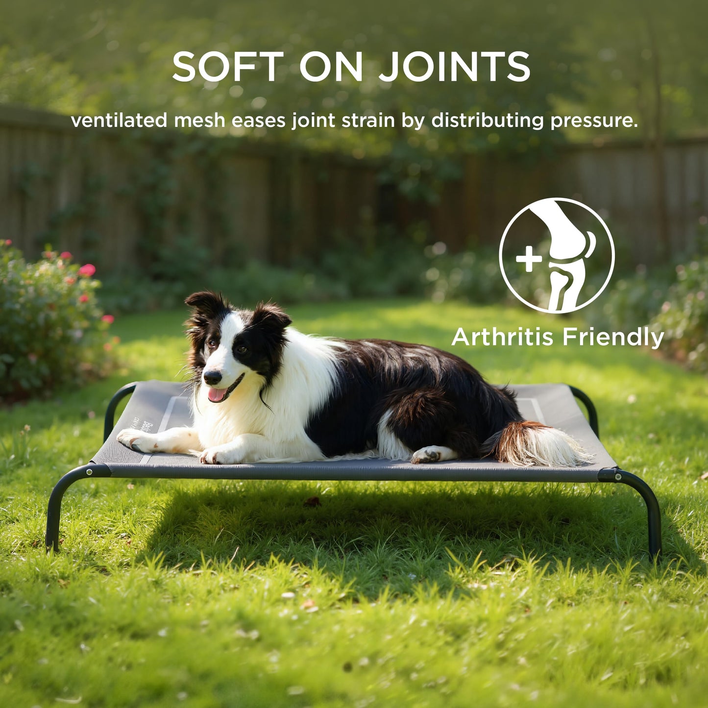 Bedsure Outdoor Elevated Dog Bed Medium Size Dog, Portable Indoor Bed