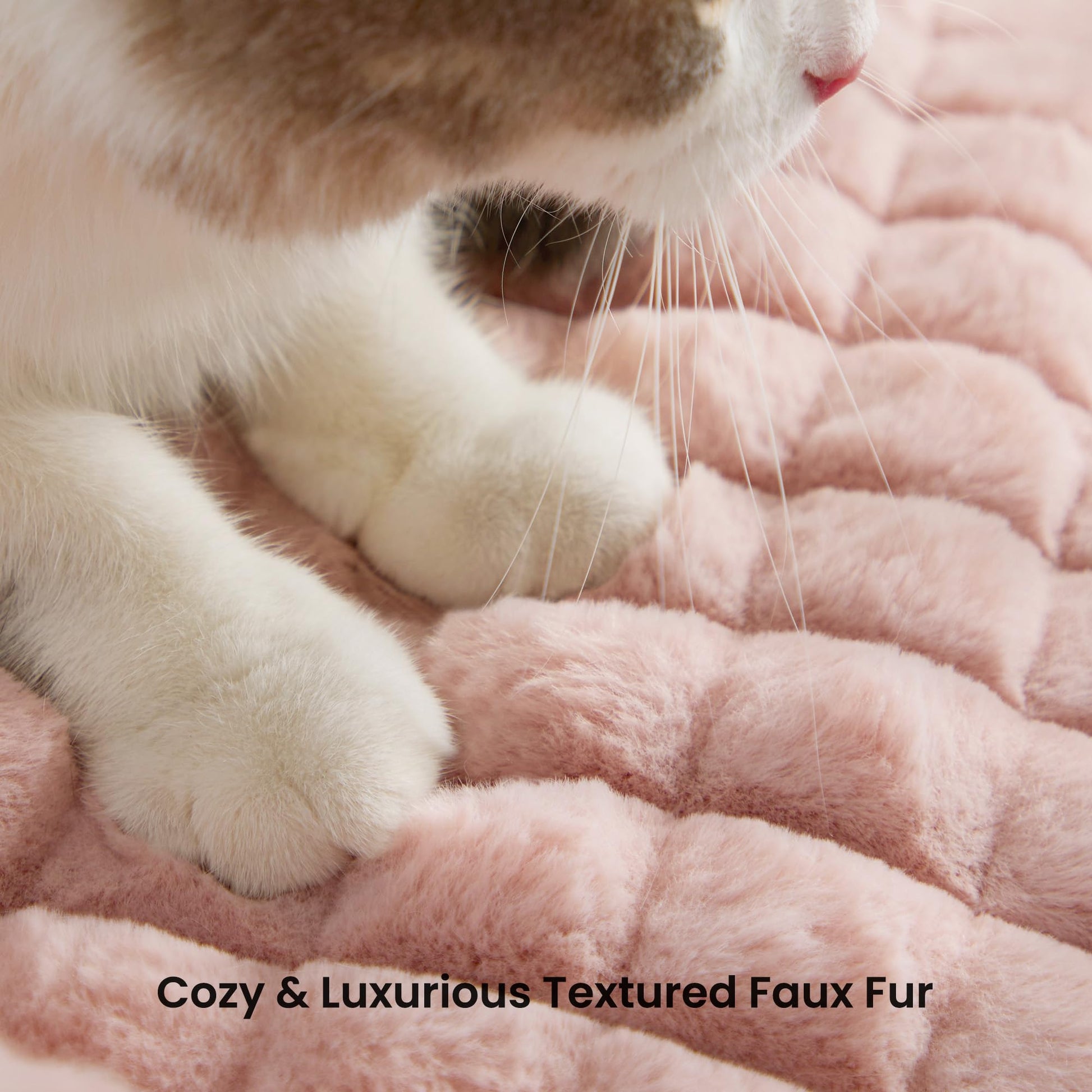 blunique Cat Bed for Indoor Cats Cute Cat Couch Beds, Fluffy Pet Couch