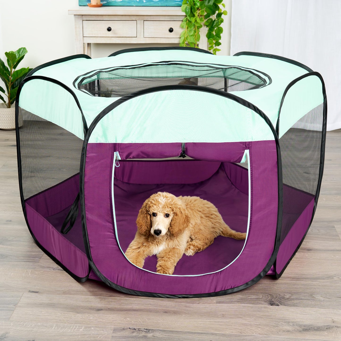 Furhaven Portable Dog Playpen, Cat Playpen, Pet Crate