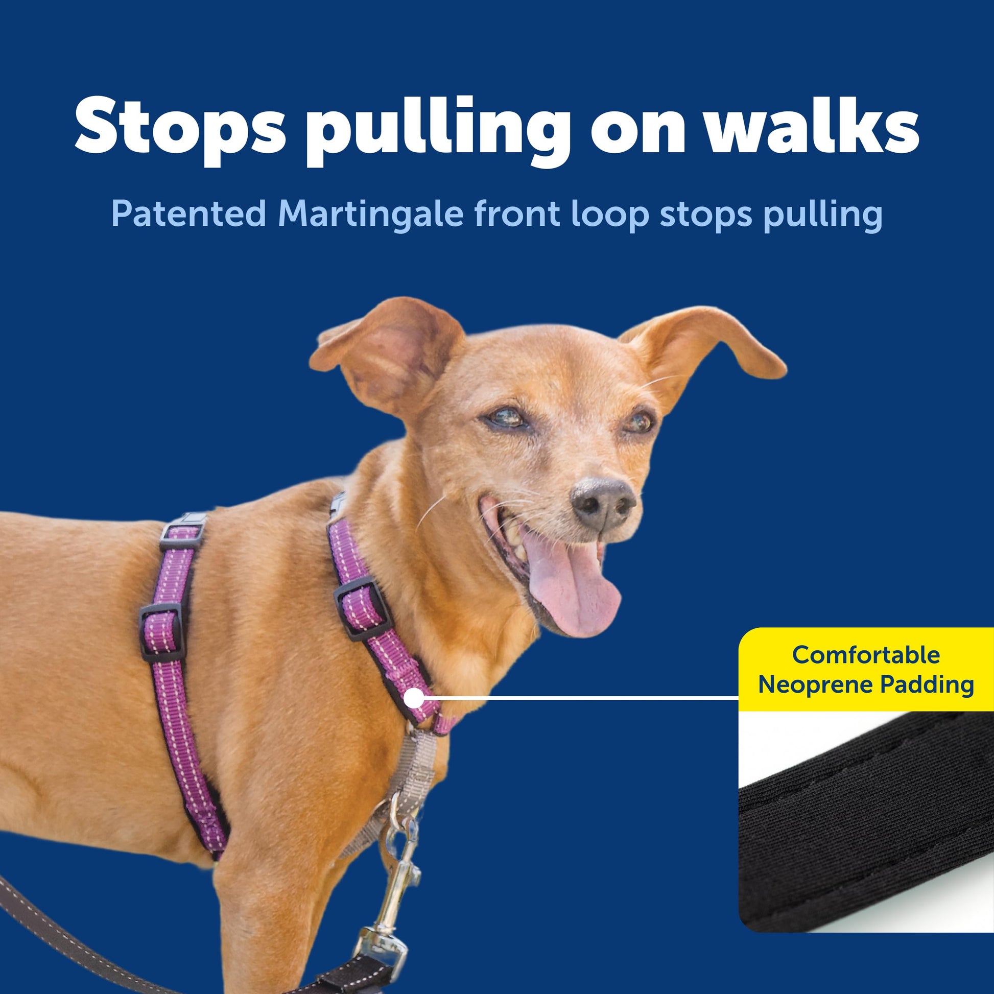 PetSafe 1 Dog Harness No Pull Solution for Dogs Reflective Dog Harness