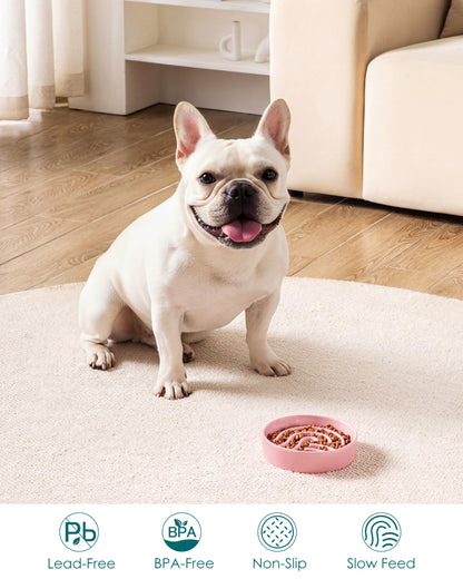vancasso Slow Feeder Dog Bowl, 0.6 Cup Ceramic Slow Feeding Puzzle