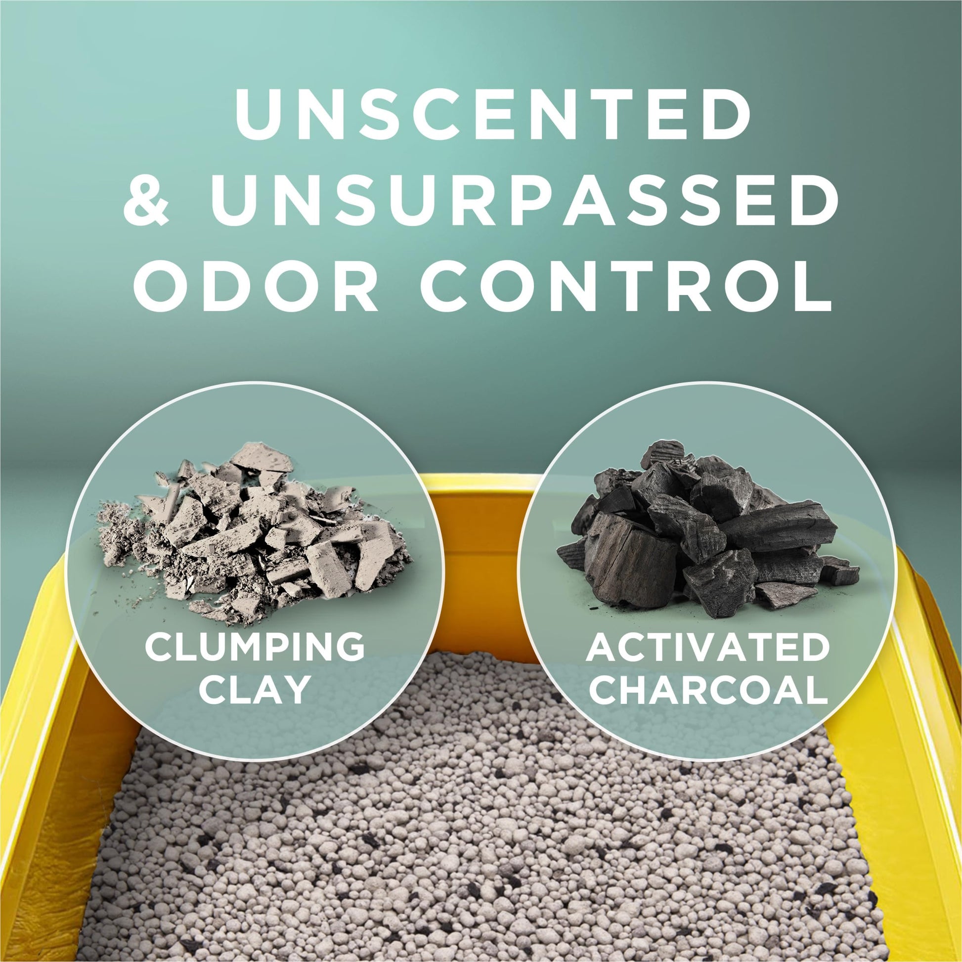 Purina Tidy Cats Free and Clean Unscented Cat Litter Box