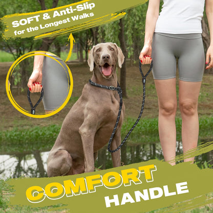 Fida Durable Slip Lead Dog Leash Bulk Pack of 5, Heavy Duty 1/2" Lead