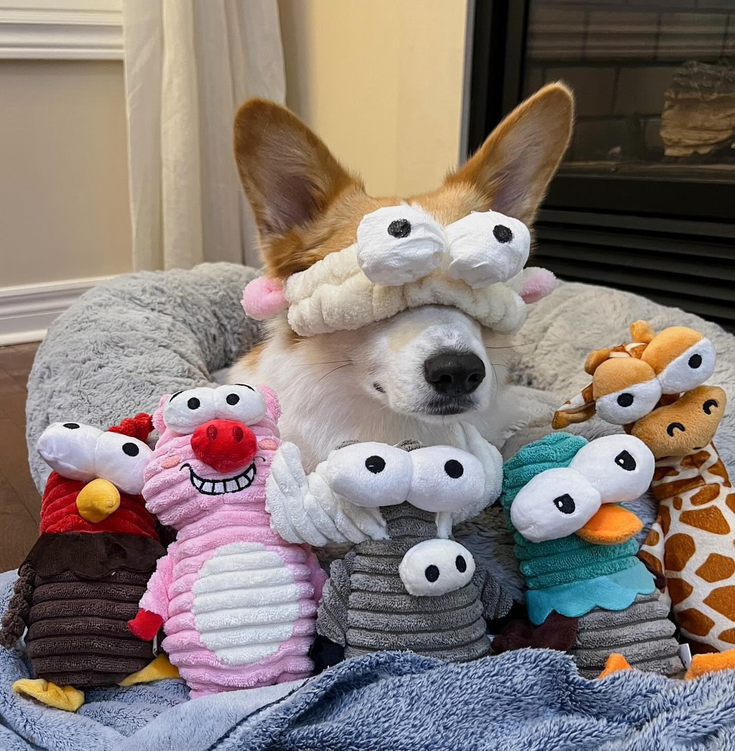 Nocciola 5-Pack Squeaky Dog Toys, Durable Stuffed Critter Zoo Dog Toys