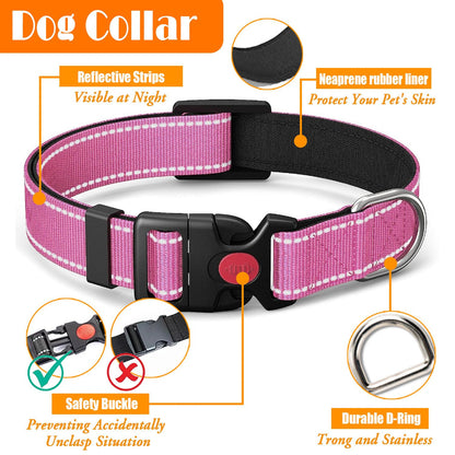LOBEVE No Pull Dog Harness, Collar Leash Set, Includes Dog Seat Collar
