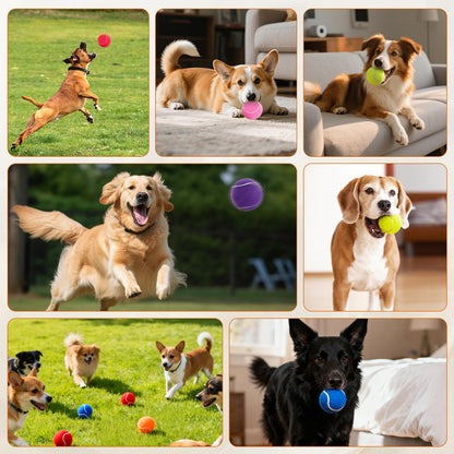 FURWEY Tennis Balls for Dogs 16 Pack,Durable and Non-Toxic Dog Toys