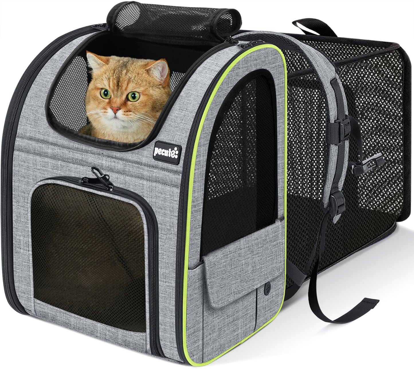 Pecute Cat Backpack Carrier Expandable Foldable Pet Backpack