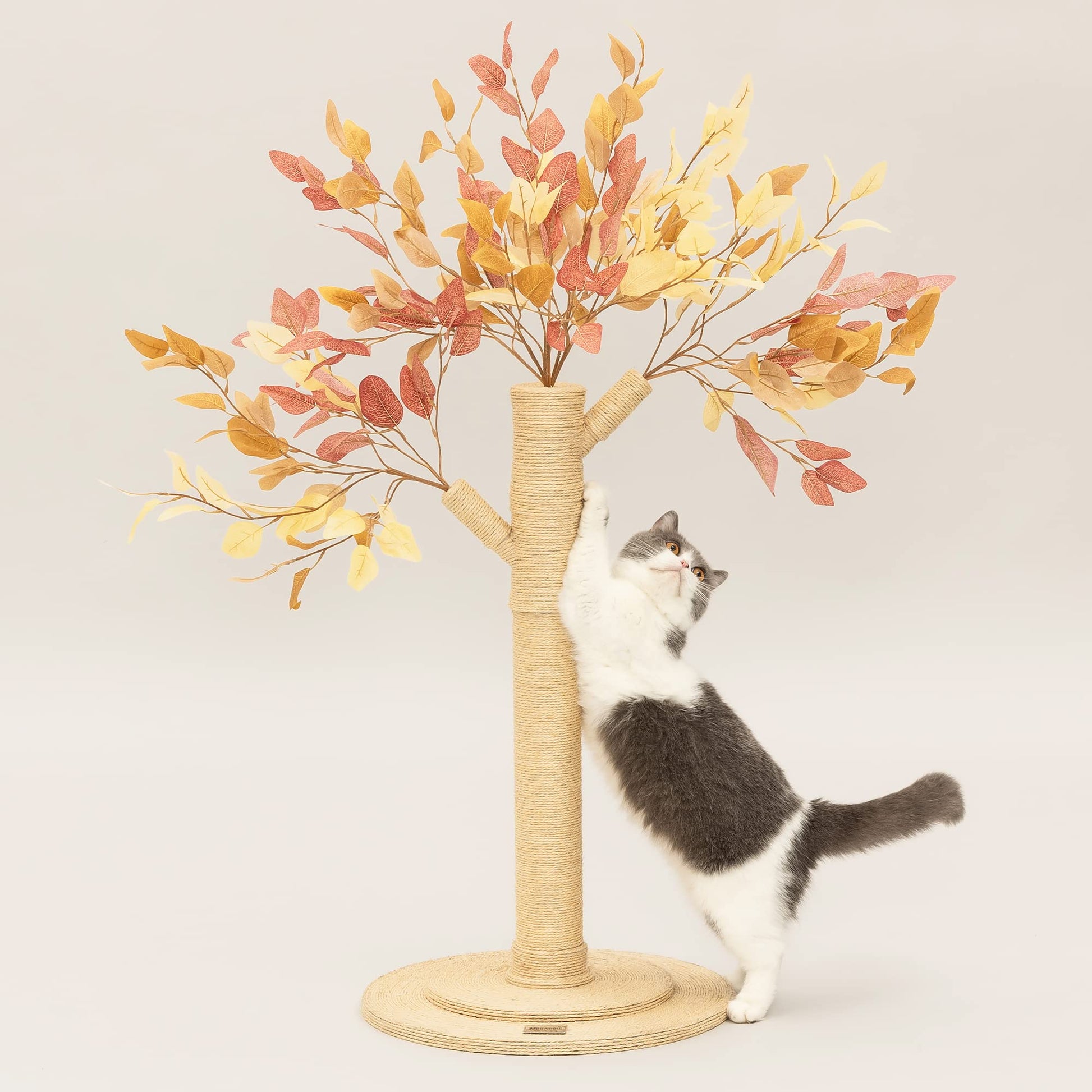 Meowoou Cat Scratching Post for Indoor Cats Adults Tall Cat Scratcher