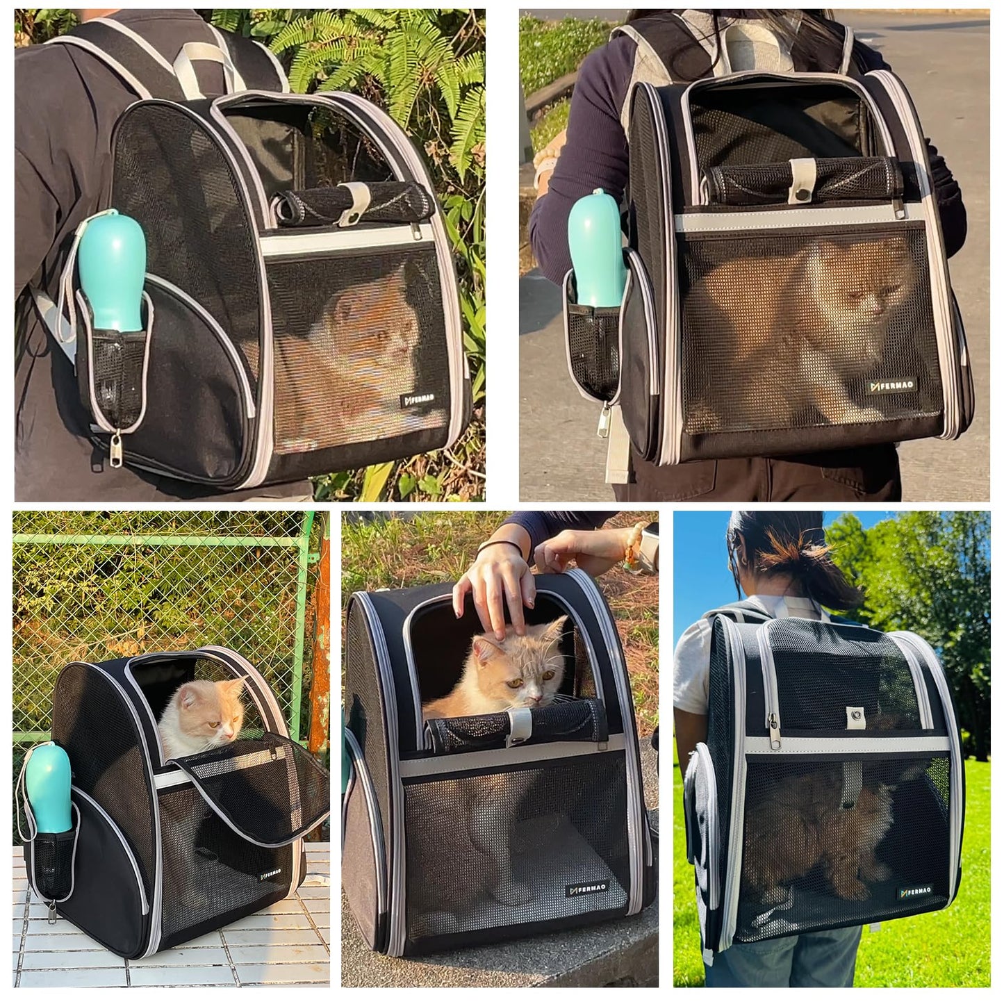 Cat Backpack Carrier for Small Dogs and Medium cat Puppy Carrier