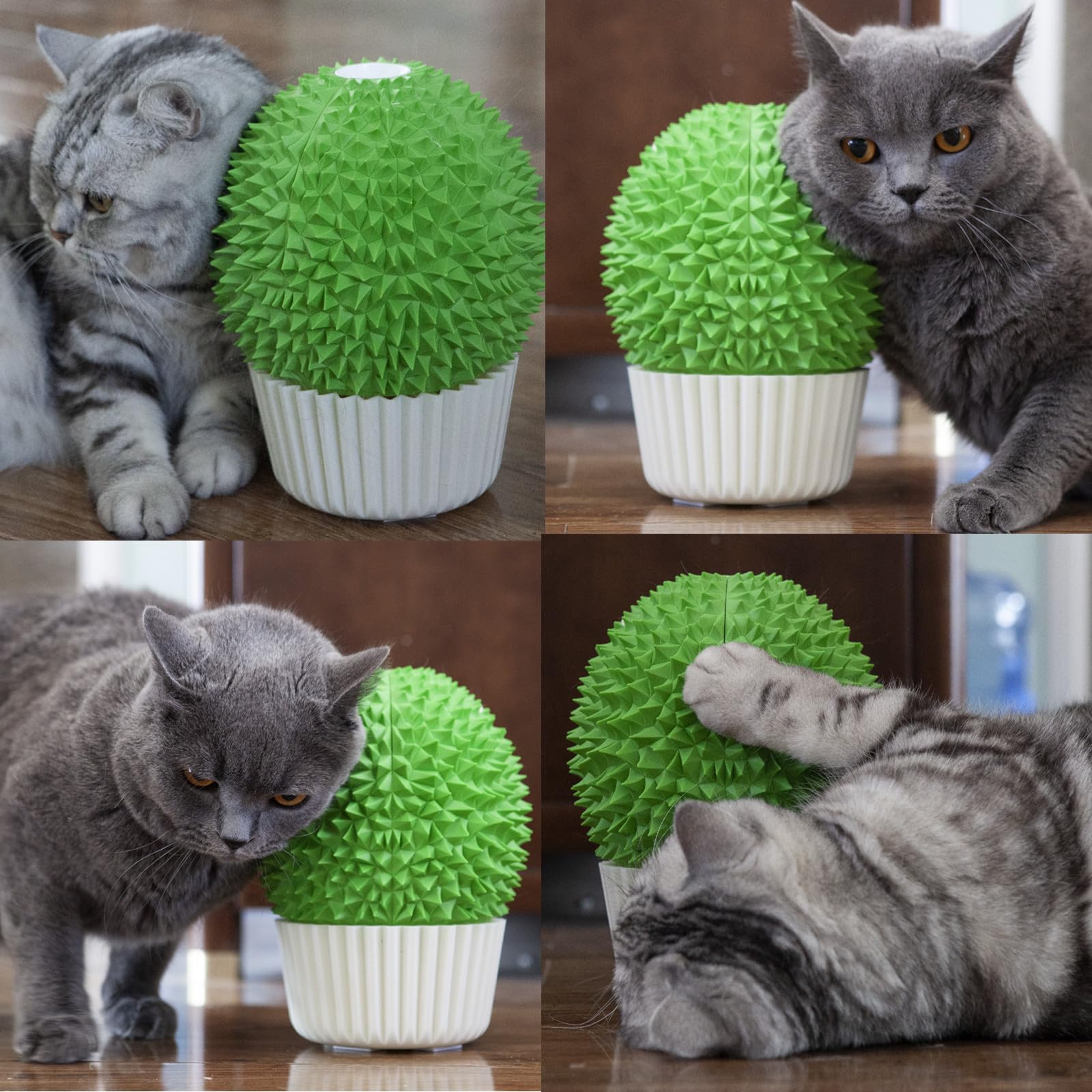 Miwoowim Catnip Feeder and Self Grooming Toys Cat Face Scratcher