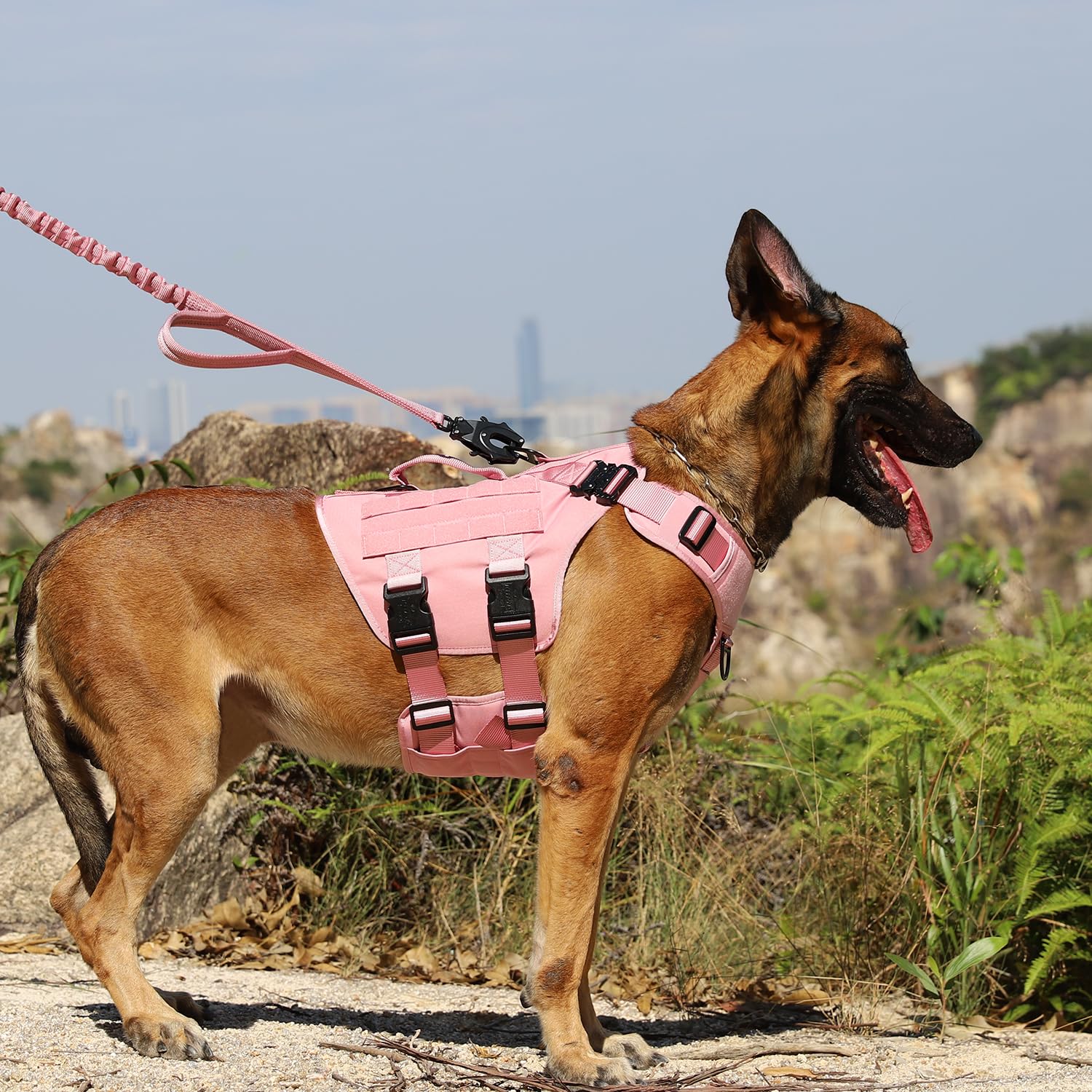 ICEFANG GN3 Tactical Dog Harness for Large Dogs, 6X Quick-Release Clip