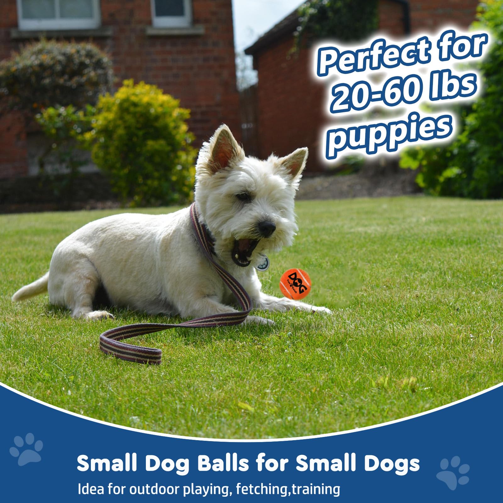 INSUM Small Tennis Balls for Dogs 12 Pack 2.0" Squeaky Dog Balls