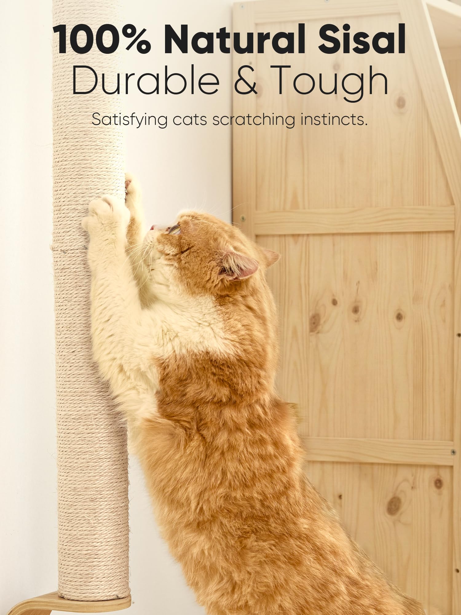 FUKUMARU Cat Wall Scratcher, 60" Tall Wall Mounted Kitten Tree
