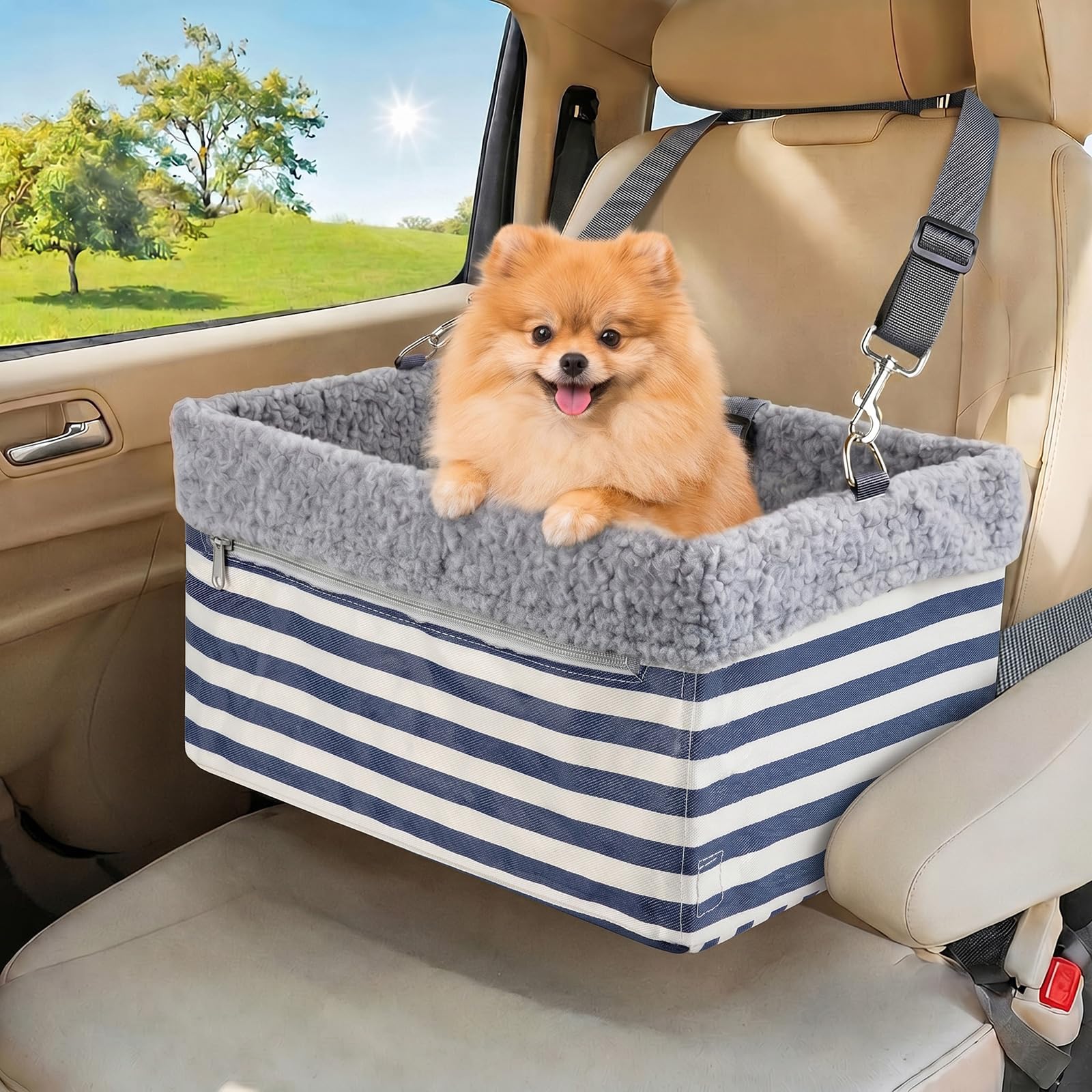 MARSLABO Dog Car Seats for Small Dogs, Upgrade Dog Booster Seat