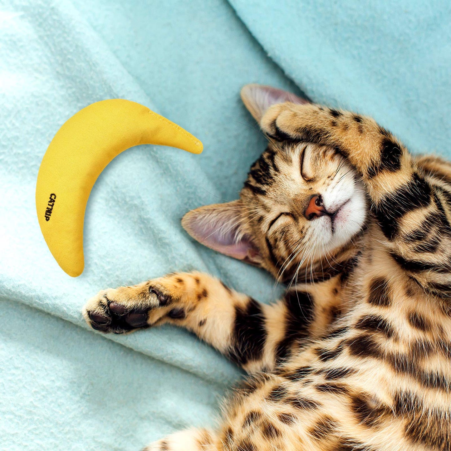 Sotiff 4 Pieces Catnip Toys Banana Cat Chew Catnip Toys Kitten Catnip