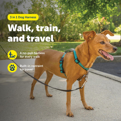 PetSafe 1 No-Pull Dog Harness for Small Dogs- Walk, Train or Harness