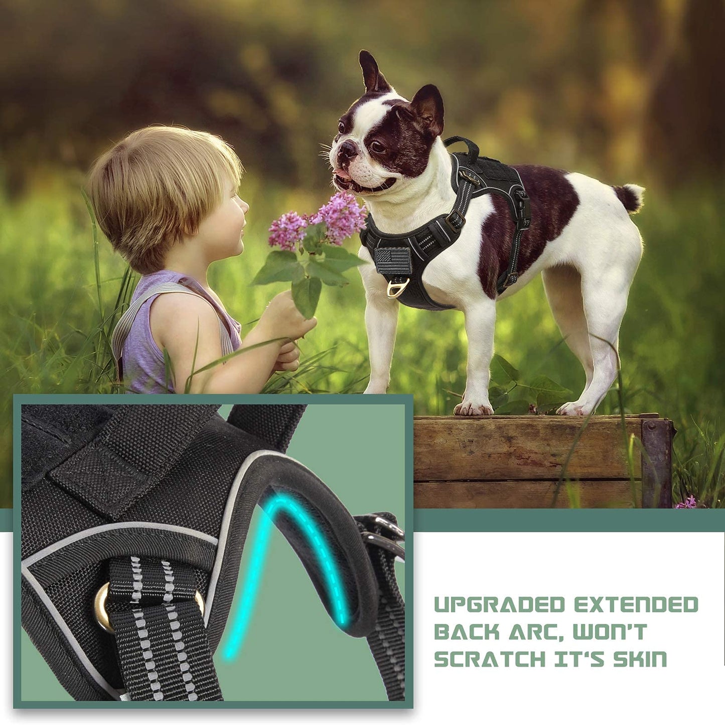BUMBIN Tactical Dog Harness for Medium Dogs, No Pull, Harness
