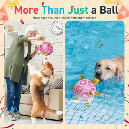 QDAN Dog Birthday Toys, Squeaky Dogs Toys, Dog Soccer Ball