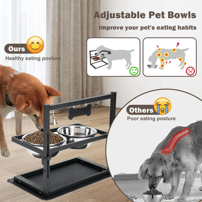 SHAINFUN Elevated Dog Bowls Slow Feeder, Raised Stand with Two Mat