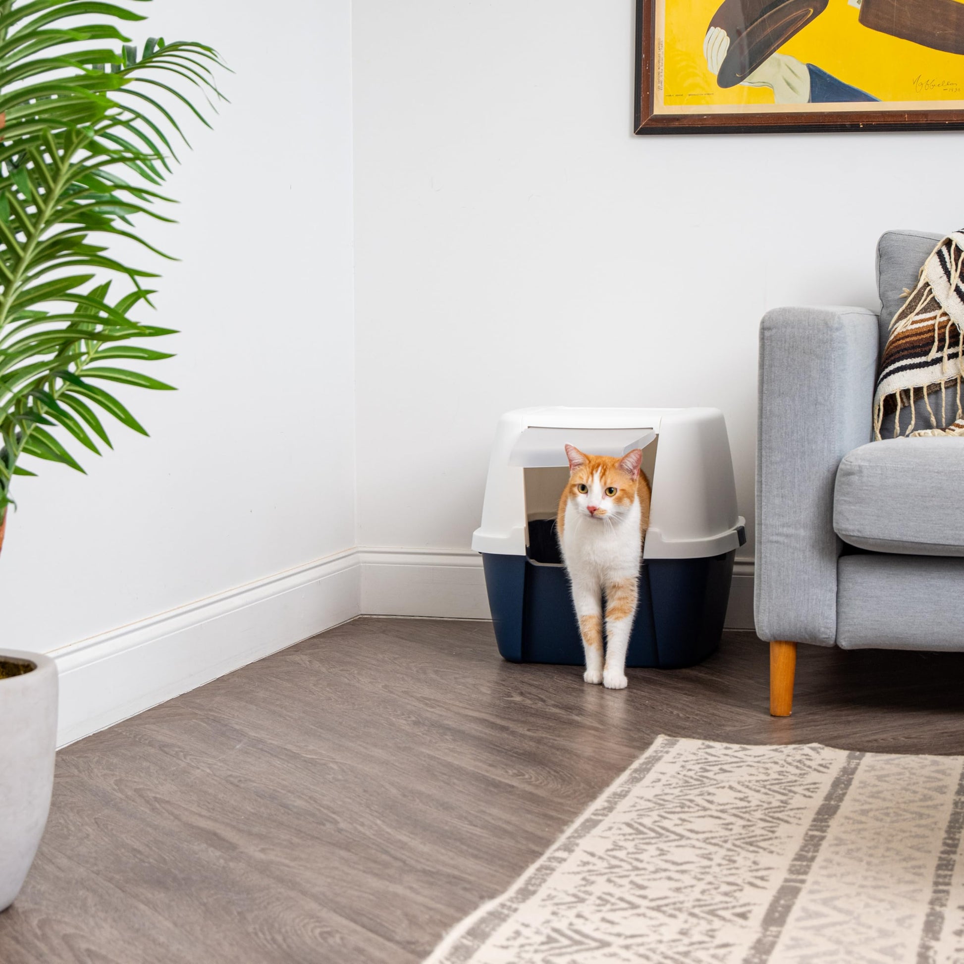 IRIS USA Cat Litter Box Large with Front Door Flap, Covered Box